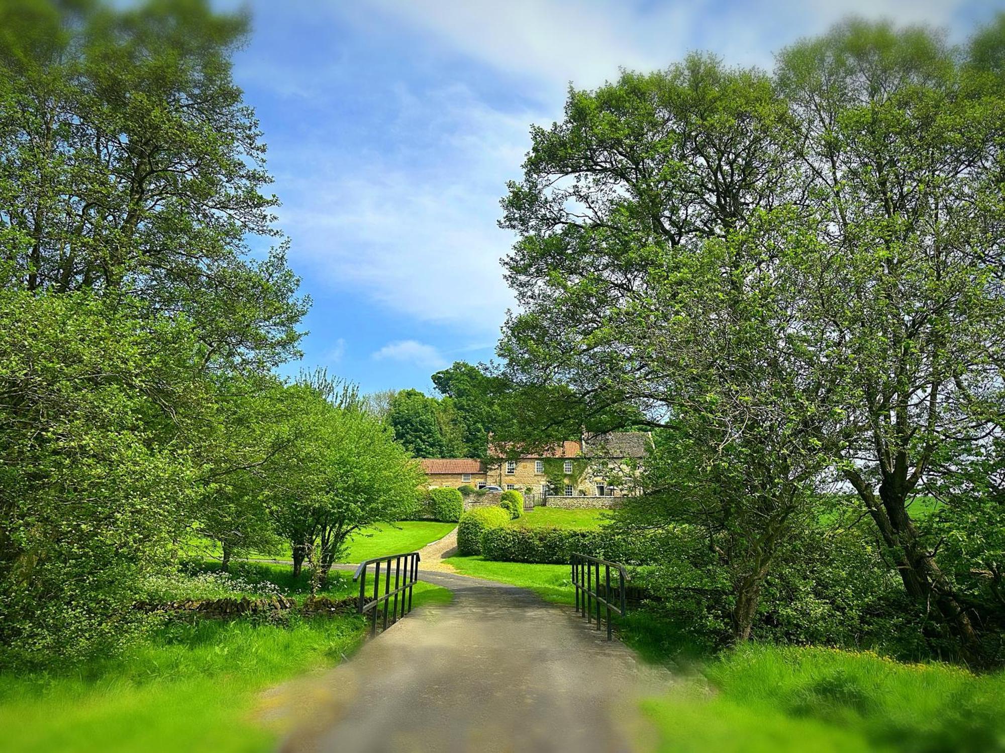 Old Orchard Cottage, Wykeham 公寓 *